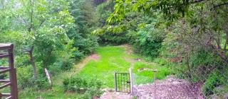 Pine Peak Lodges - 3