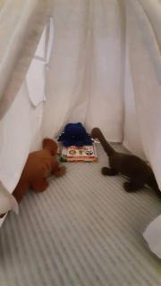 Cozy House in Taiping - 3