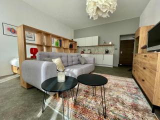 Apartment Center Zilina near Train and Bus station - Žilina - 7