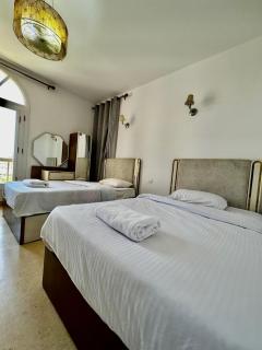 New Marina MP 37 - 2