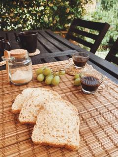 Gatto Storpio - Arezzo - 3