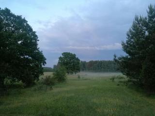 Po šimtamečiais ąžuolais - 6