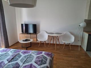 Apartman City Kvart Podgorica - Podgorica - 8