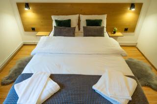 Evyssa Lodge- Cabana in muntii Calimani, Mures - 5