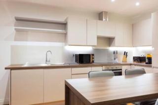 Modern and large oasis flat in Camden with patio - Londra - 1