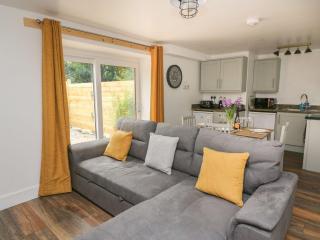 Garden View - Llanybydder - 7