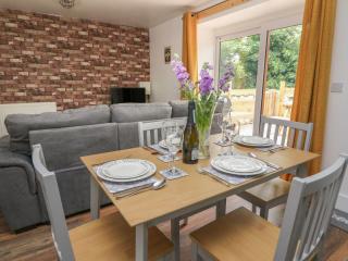 Garden View - Llanybydder - 3