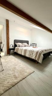 Appartement Neuf,épuré et bien placé - Mulhouse - 0