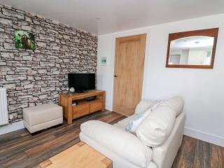 Field View - Llanybydder - 7