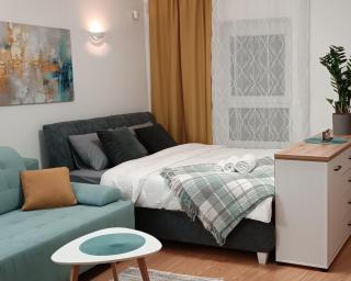 Apartment Lanea - Sarajevo - 9