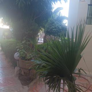 S2 Chott Mariem sul mare - El Ahmar - 6