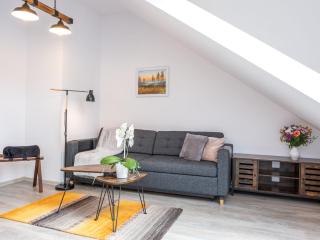 Apartment Miner's Lodge -sauna by Interhome - Jáchymov - 8