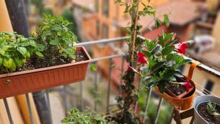 Appartamento nel cuore della città - Bolonia - 5