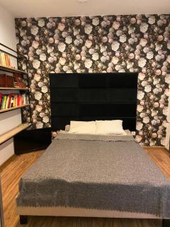 Apartament Gold 3 - Złotoryja - 4