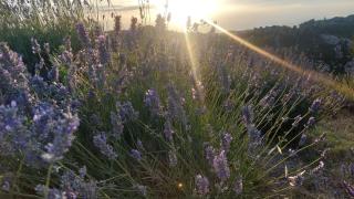 Villa Sainte Victoire - 4