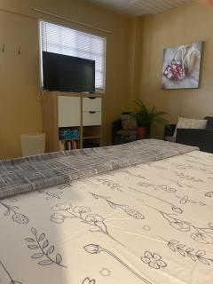 Palmhouse Aruba 1-2 persons - Pos Chiquito - 2