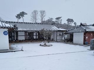 Boryeong dalitteumyeonkkochipigo Hanok Stay - Boryeong - 5