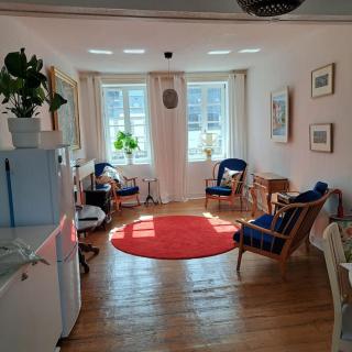 Lumière et Confort en Centre Ville - 4