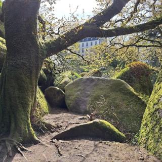 Lumière et Confort en Centre Ville - 3