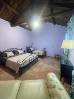Azienda Agricola Neocastrum - Lamezia Terme - 2
