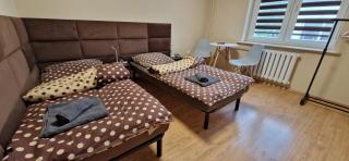 Travel House - Szczecin - 9
