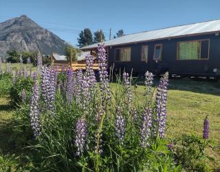 Los Lupines - El Hoyo - 3