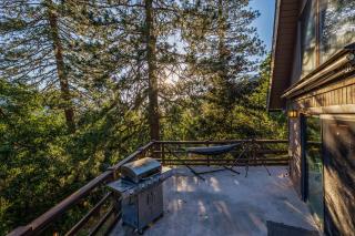 Hygge Haus Sequoia - Large Private Cabin w Views - Ponderosa - 1