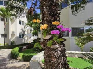 Tropical Casa Laguna - 7