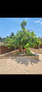 Villa Elizabeth - Limassol - 9