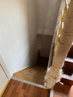 Chambre spacieuse - 8