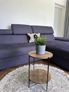 Pension Moravia - Olomouc - 8