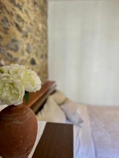Casa Margot - 5