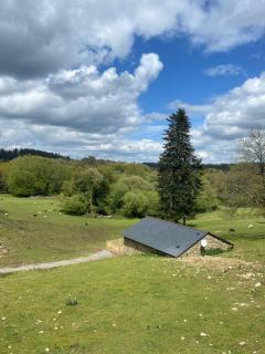 Petite Maison de Campagne avec vue sur la vallée - Guern - 4