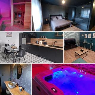 Maison 2 à 4 pers Spa Sauna - - 7