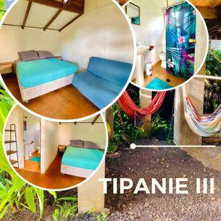 Mata Nui Eco Hostel - 5