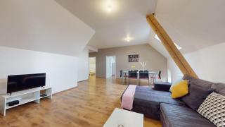 Le nid perché Mulhouse - Mulhouse - 9