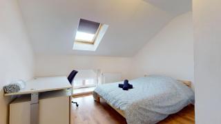 Le nid perché Mulhouse - Mulhouse - 2