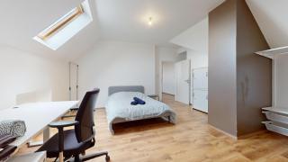Le nid perché Mulhouse - Mulhouse - 6
