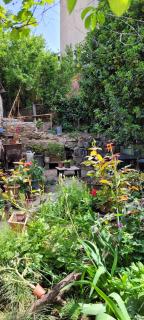 Green Ivy Tbilisi Central Station - 8