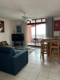 Duplex vue panoramique - 6