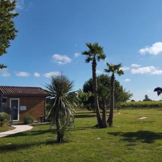 Maison d'Hôtes La Prévôté - Périssac - 9