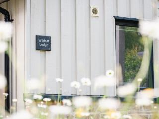 Wildcat Lodge - 8