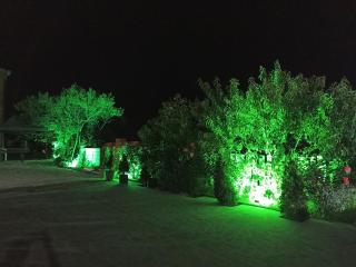 Green Garden - Ijevan - 6