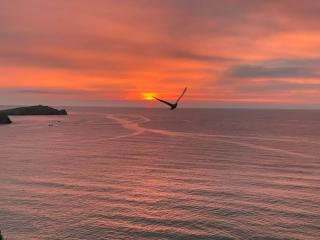Cliff-top Apartment in Newquay - Newquay - 7