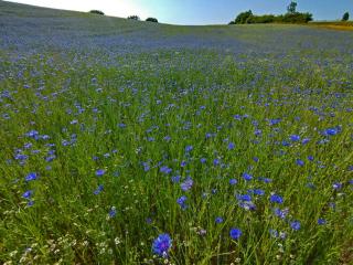 Kranich - Stilvolles Ferien-Apartment am Naturschutzgebiet Dosenmoor -  - 4