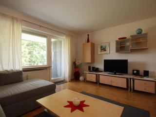 Ferienwohnung in perfekter Lage, Hahnenklee - Hahnenklee-Bockswiese - 7