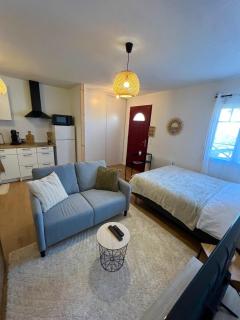 Studio Le petit Larros - Gujan-Mestras - 8