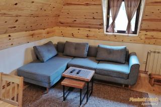 PLANINSKI KUTAK Tara - Apartman 2 - 3