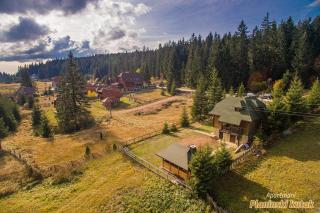 PLANINSKI KUTAK Tara - Apartman 2 - Bajina Bašta - 2