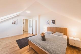 Royal Loft Apartment 110m2 - Prague - 5